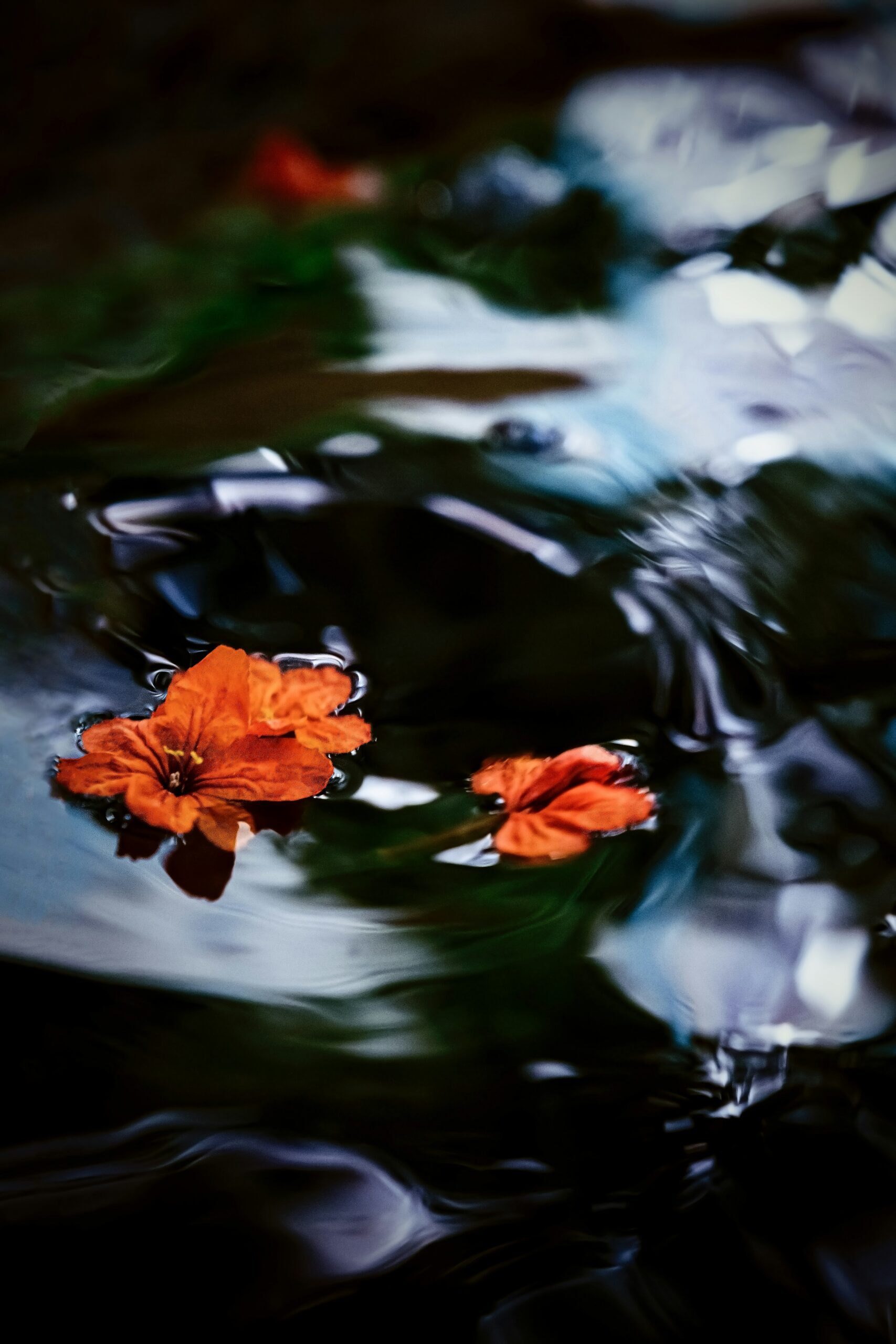 Tantra Workshop “The Tantric Wave” with Deva Alaya